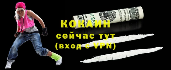 ПСИЛОЦИБИНОВЫЕ ГРИБЫ Заводоуковск