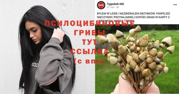 амфетамин Заволжье