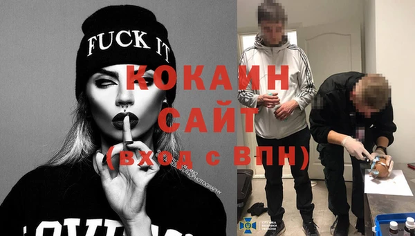 ПСИЛОЦИБИНОВЫЕ ГРИБЫ Заводоуковск