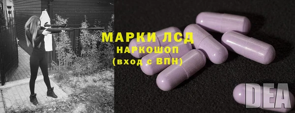 ПСИЛОЦИБИНОВЫЕ ГРИБЫ Заводоуковск