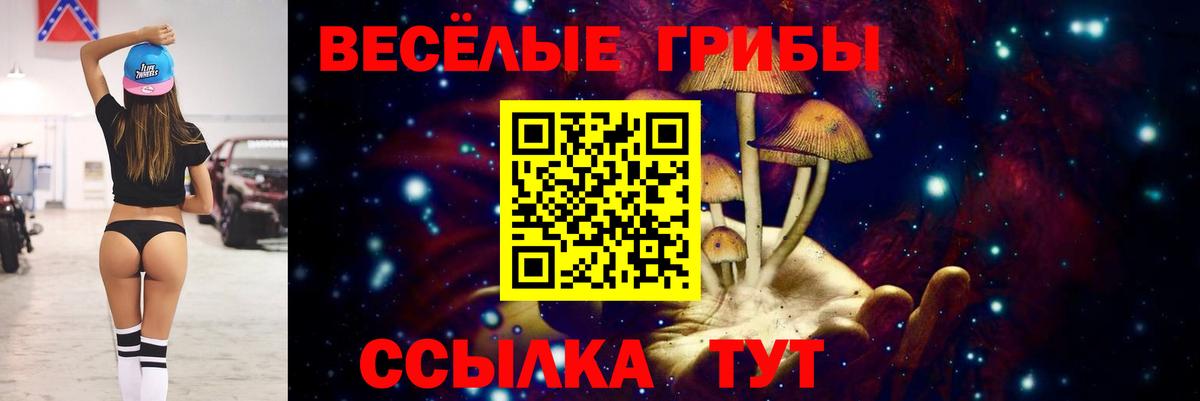 что такое наркотик  Галлюциногенные грибы MAGIC MUSHROOMS  Сердобск  Вход с VPN  Псилоцибиновые грибы ЛСД 
